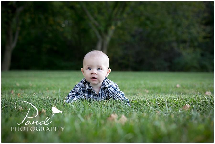 Copyright © 2013 Pond Photography