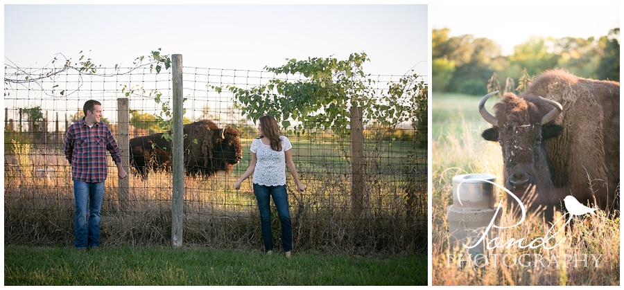 HodgePark_Engagement_Matt_Tiffany_0019