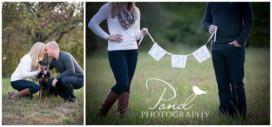 Copyright © 2013 Pond Photography