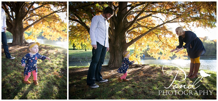 Copyright © 2013 Pond Photography
