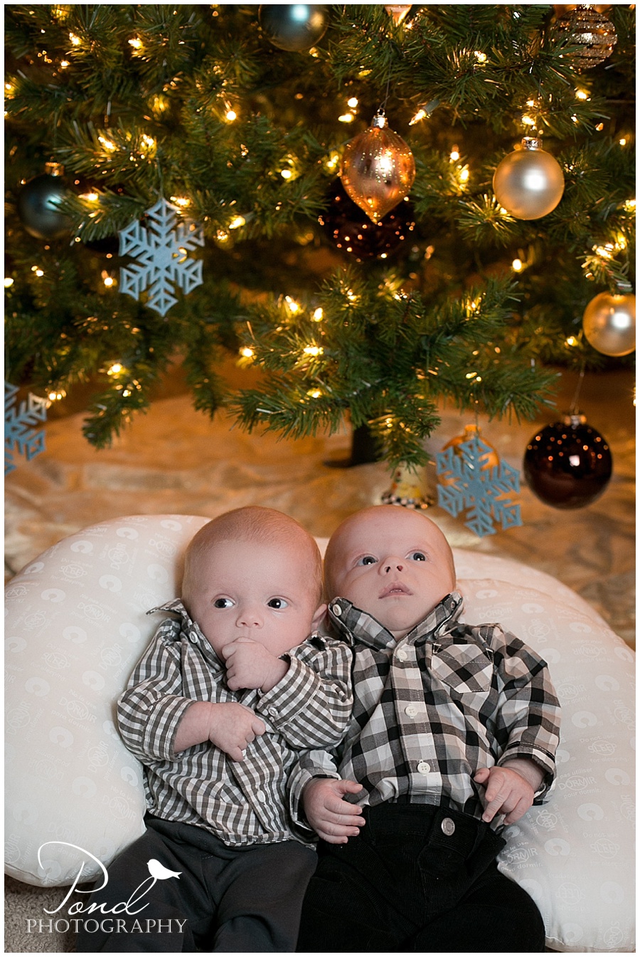 Copyright © 2013 Pond Photography
