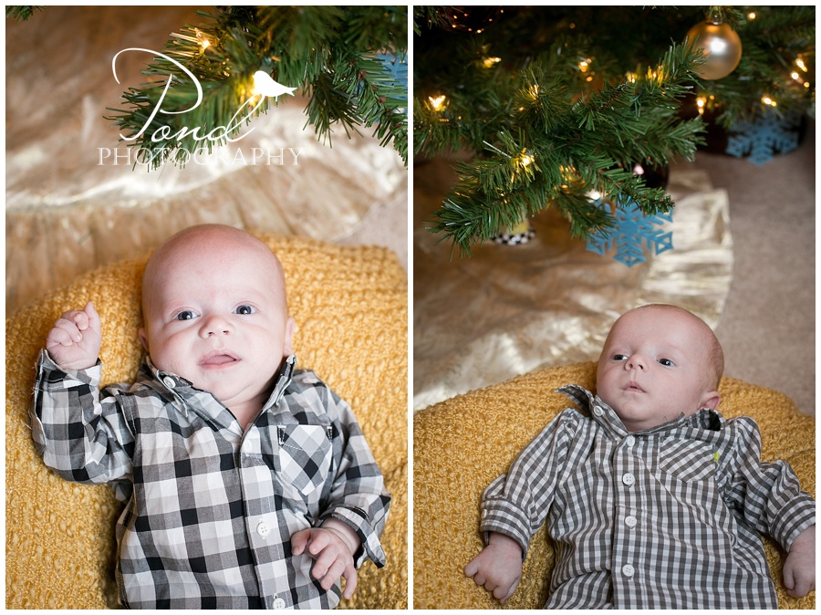 Copyright © 2013 Pond Photography