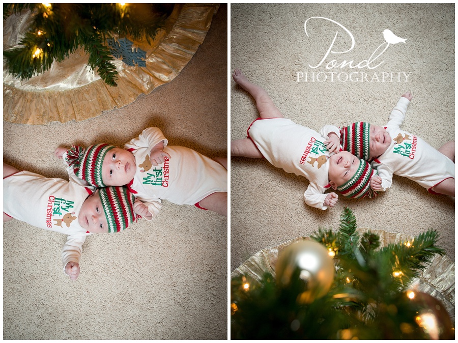 Copyright © 2013 Pond Photography