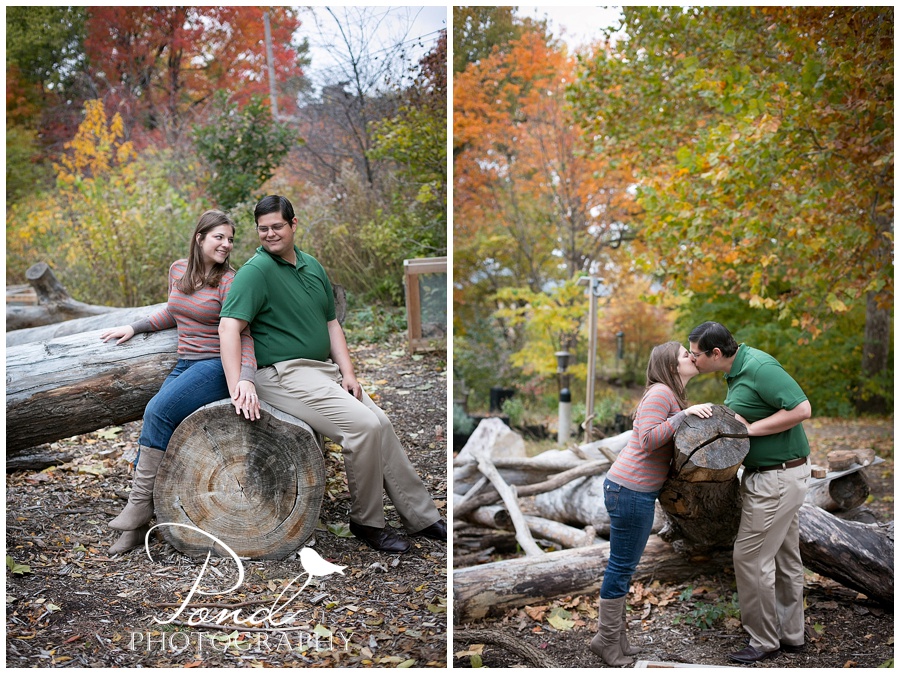 Copyright © 2013 Pond Photography
