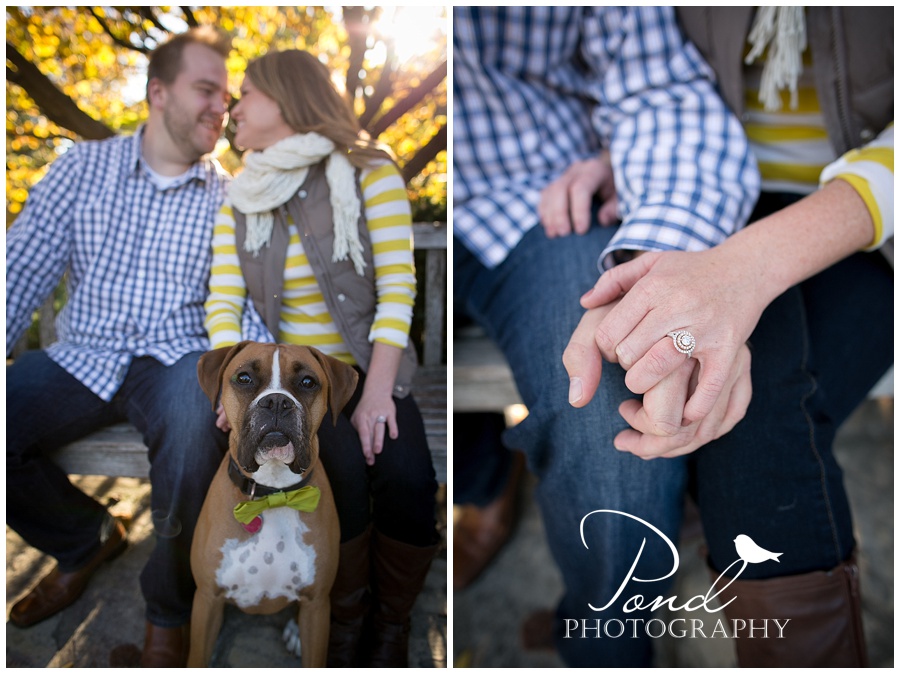 Copyright © 2013 Pond Photography